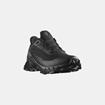 Picture of SALOMON ALPHACROSS 5 GTX W